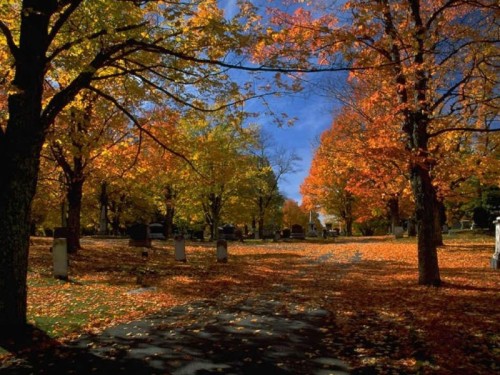 autumn-in-the-park.jpg